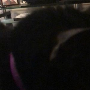 Meet your Posher, Kenny